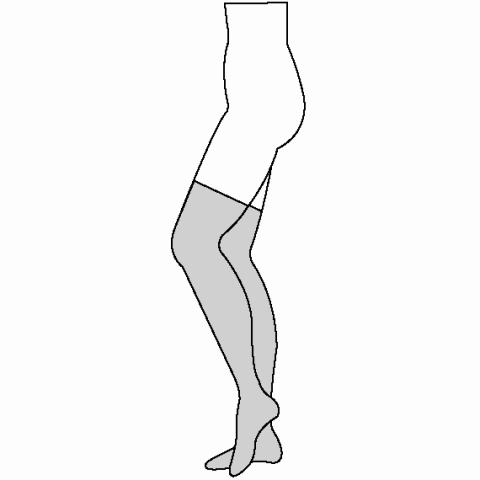 Fashion Plusâ„¢ Hosiery