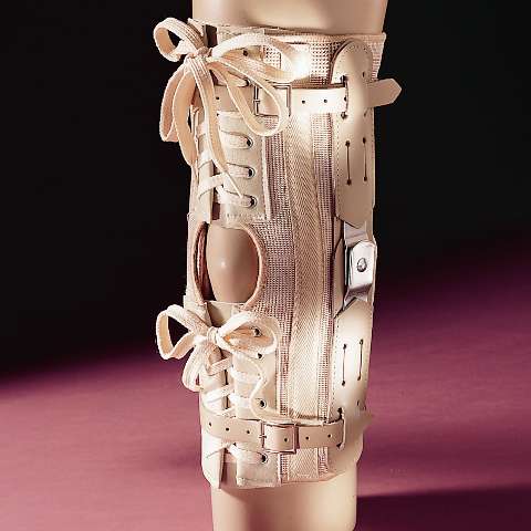 Knee Supports