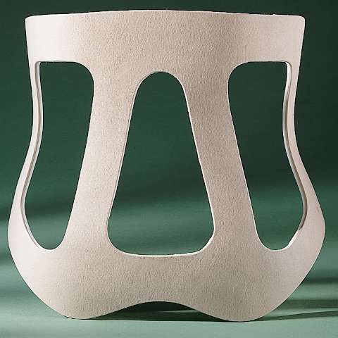 Spinaliteâ„¢ Chair-Back Brace